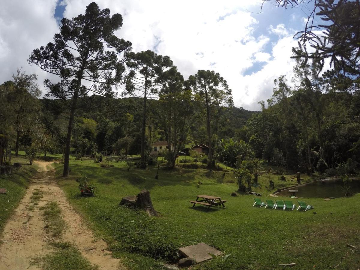 Gran Da Fazenda *