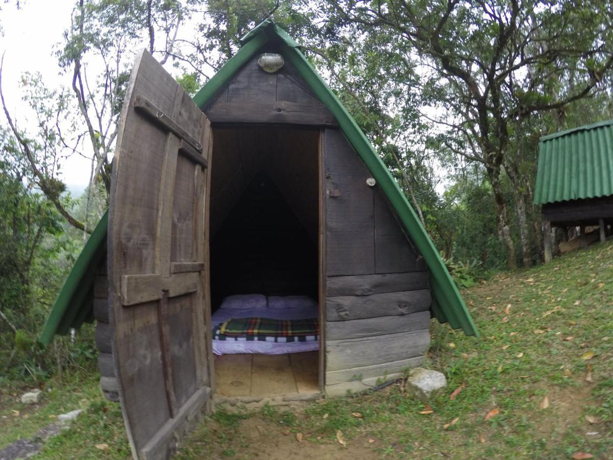 Gran Da Fazenda Visconde De Maua