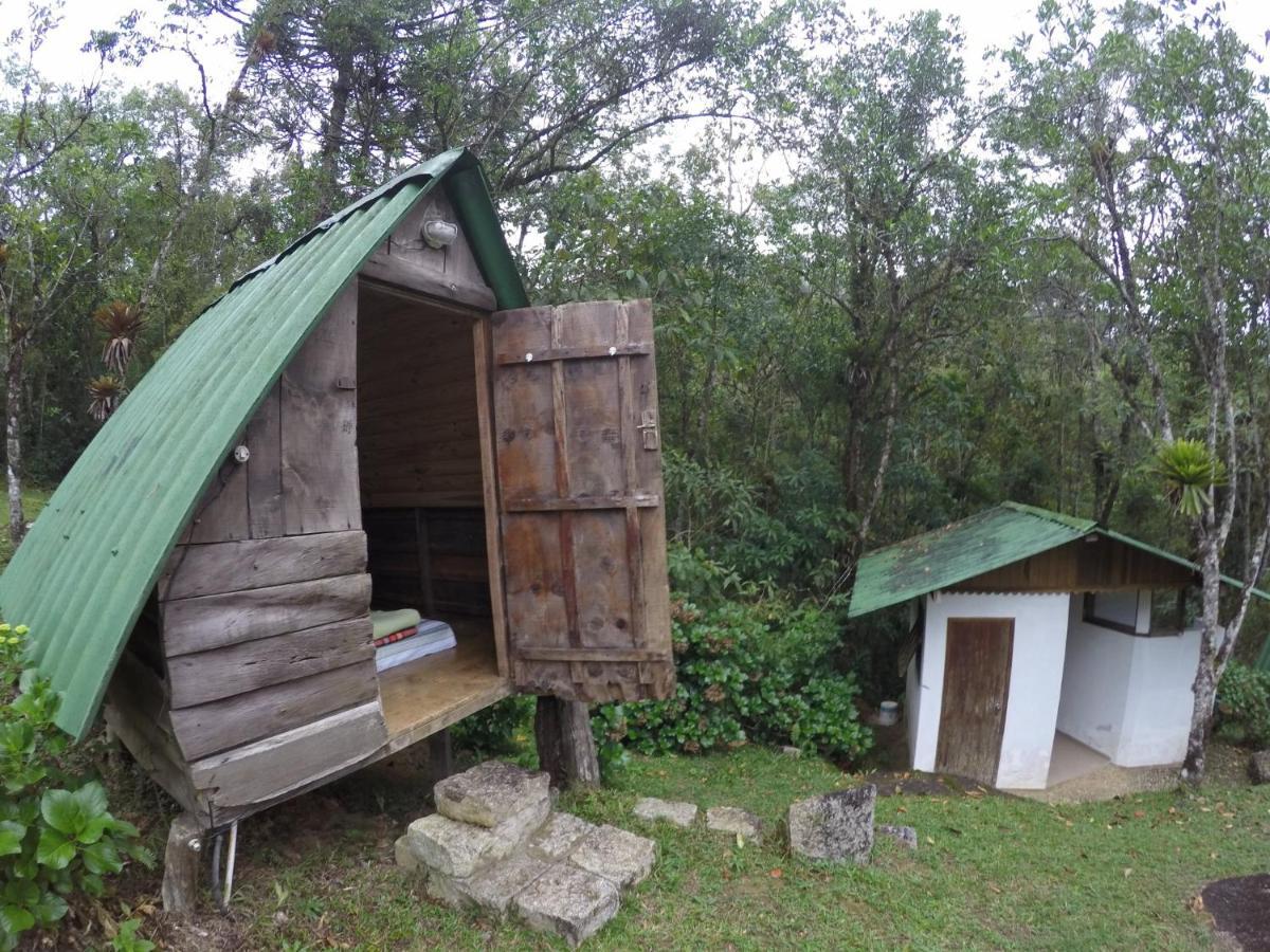 Gran Da Fazenda * Visconde De Maua