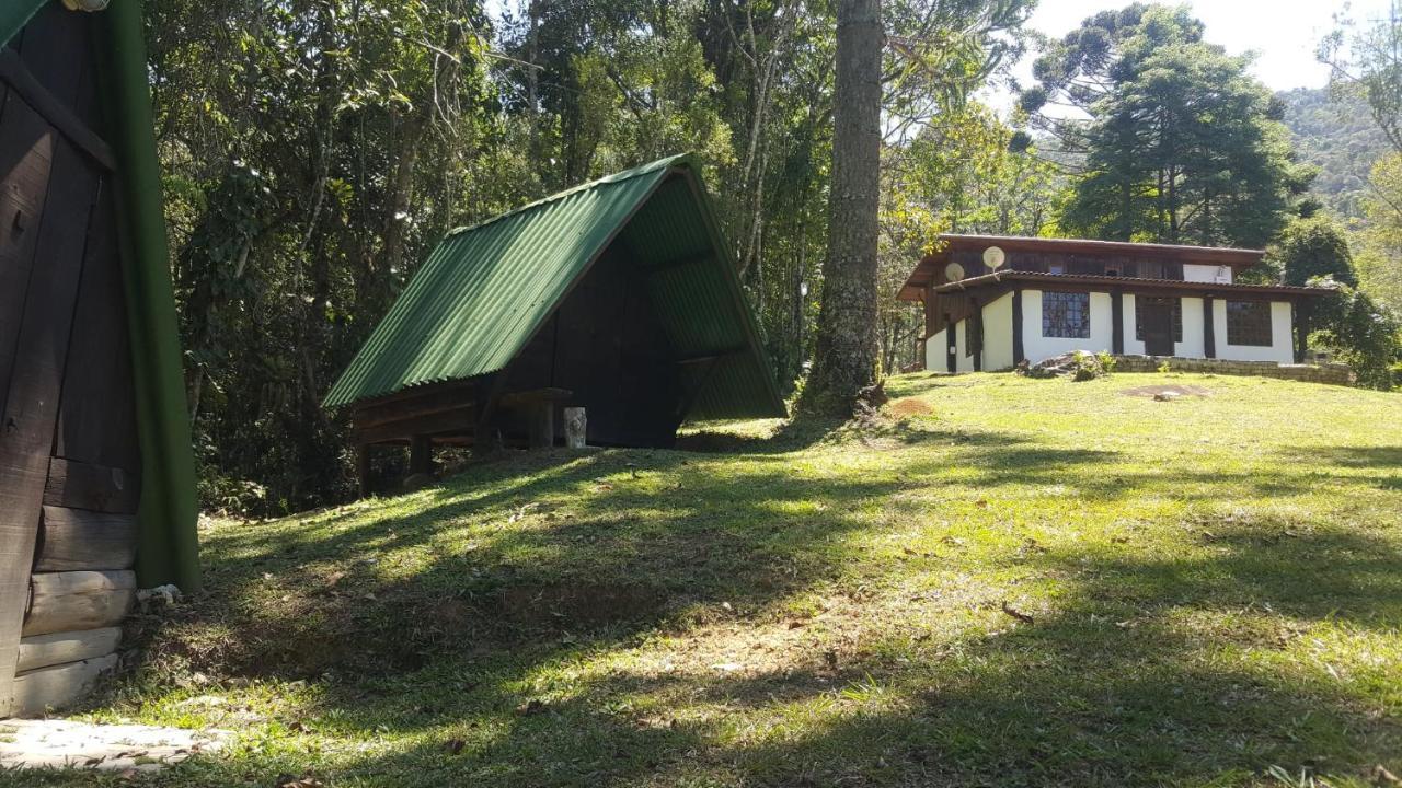 Gran Da Fazenda