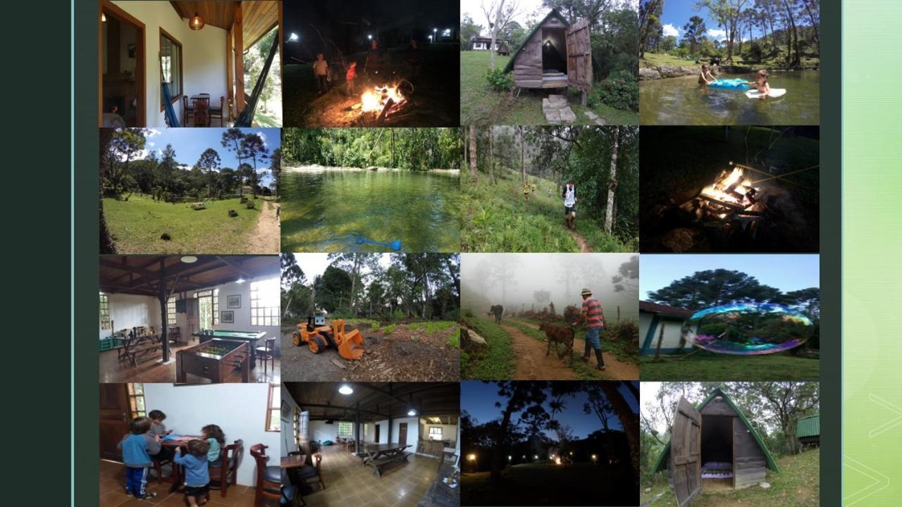 Gran Da Fazenda Visconde De Maua