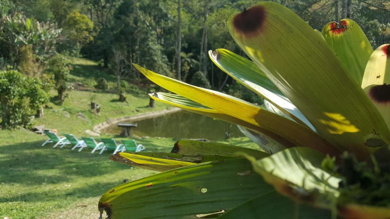 Gran Da Fazenda * Visconde De Maua