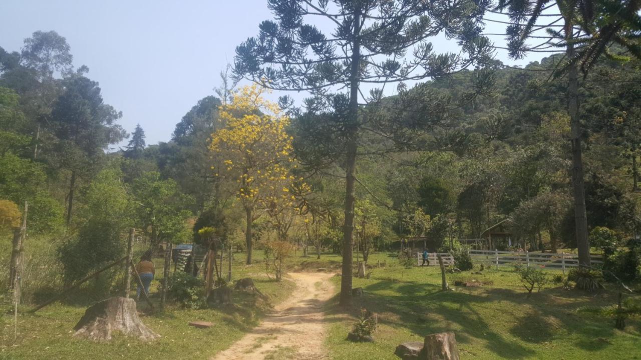 Parque de Campismo Gran Da Fazenda