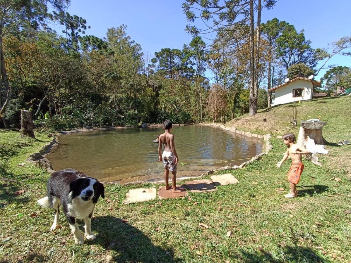 Gran Da Fazenda
