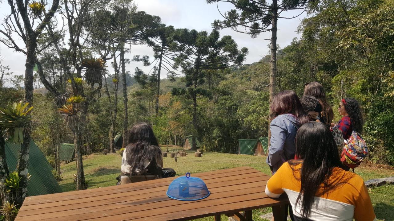 Gran Da Fazenda Visconde De Maua