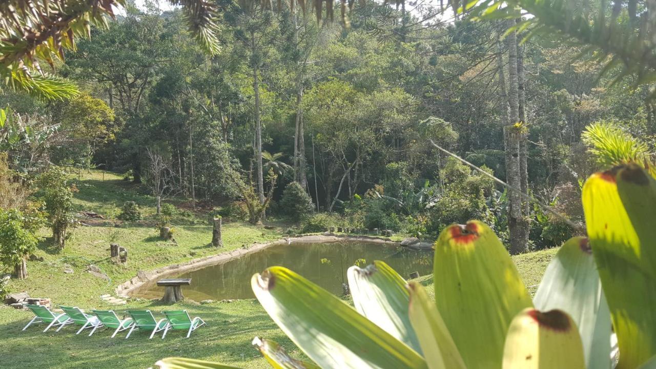 Gran Da Fazenda